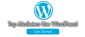 WordPress Webmaster Host Services For Business